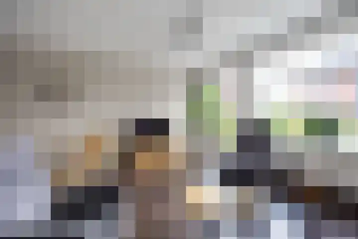 K. ter Laanstraat 4 Winsum thumbnail 11
