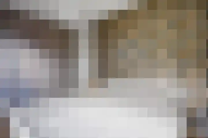 K. ter Laanstraat 4 Winsum thumbnail 34
