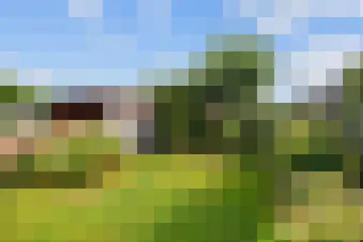K. ter Laanstraat 4 Winsum thumbnail 39