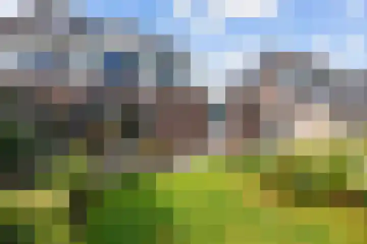 K. ter Laanstraat 4 Winsum thumbnail 40