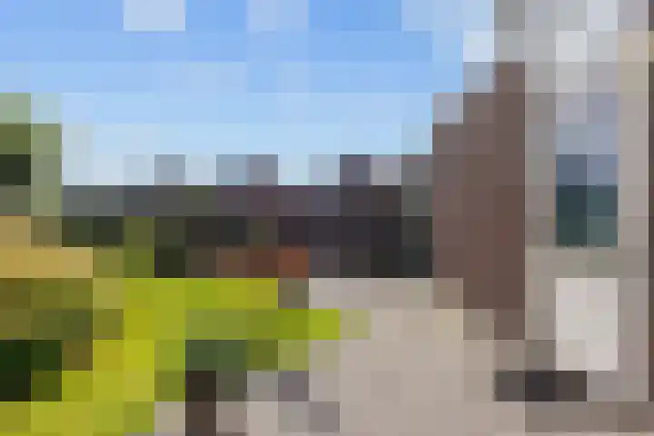 K. ter Laanstraat 4 Winsum thumbnail 41
