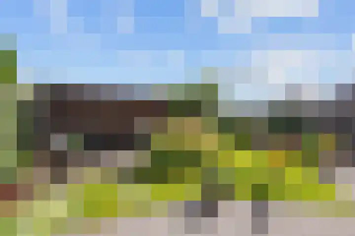 K. ter Laanstraat 4 Winsum thumbnail 42