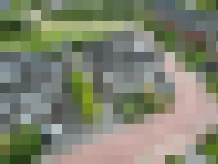 K. ter Laanstraat 4 Winsum thumbnail 47