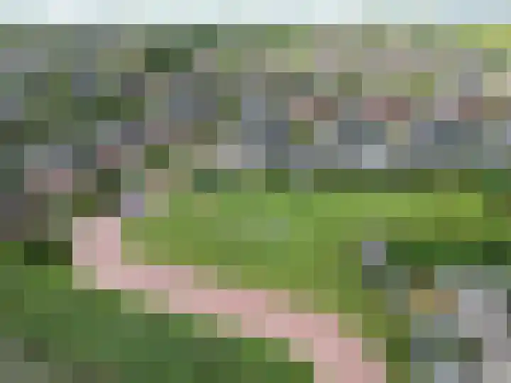 K. ter Laanstraat 4 Winsum thumbnail 49