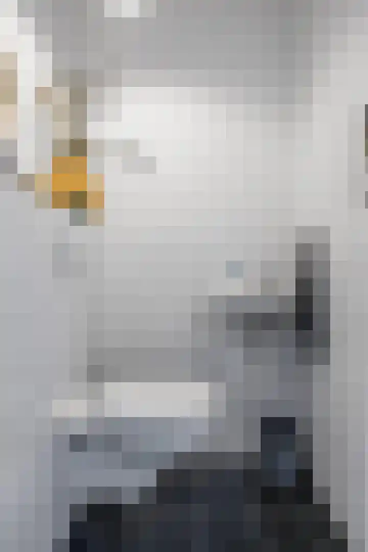 K. ter Laanstraat 4 Winsum thumbnail 7