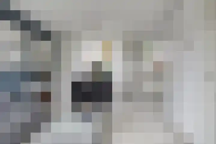 K. ter Laanstraat 47 Slochteren thumbnail 11