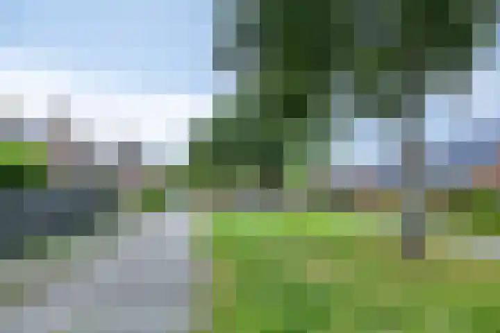 K. ter Laanstraat 47 Slochteren thumbnail 32