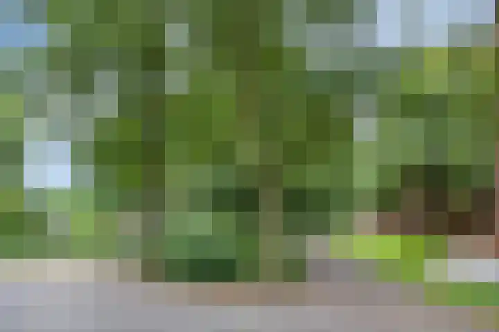 K. ter Laanstraat 47 Slochteren thumbnail 33