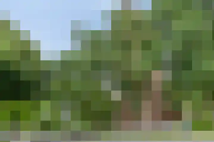 K. ter Laanstraat 47 Slochteren thumbnail 34
