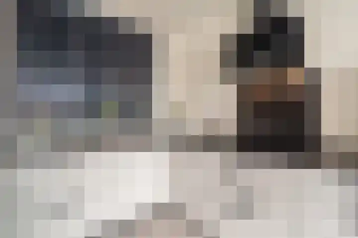 Kaafijzer 25 Blauwestad thumbnail 22
