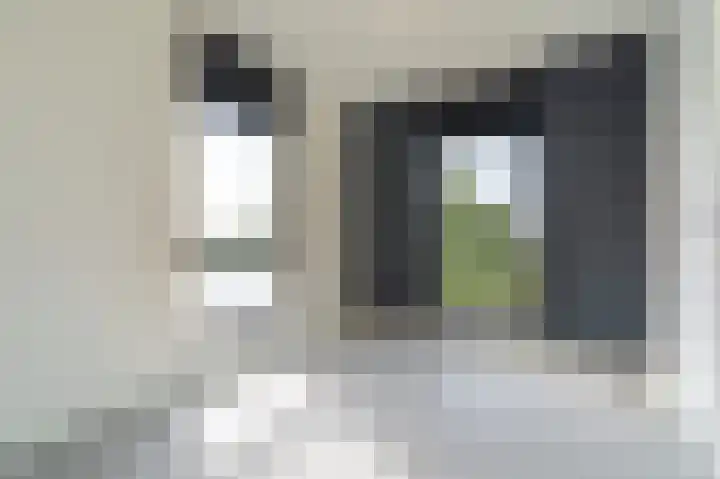 Kaafijzer 25 Blauwestad thumbnail 36