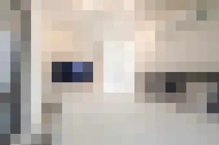 Kaafijzer 25 Blauwestad thumbnail 37