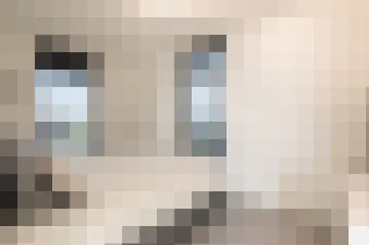 Kaafijzer 25 Blauwestad thumbnail 39