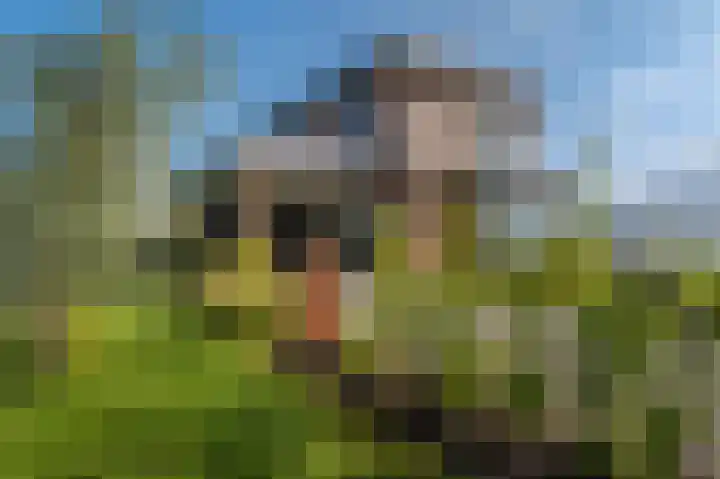 Kaafijzer 25 Blauwestad thumbnail 4