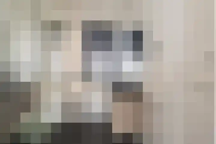 Kaafijzer 25 Blauwestad thumbnail 40