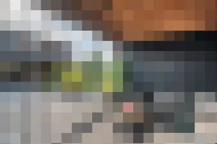 Kaafijzer 25 Blauwestad thumbnail 48