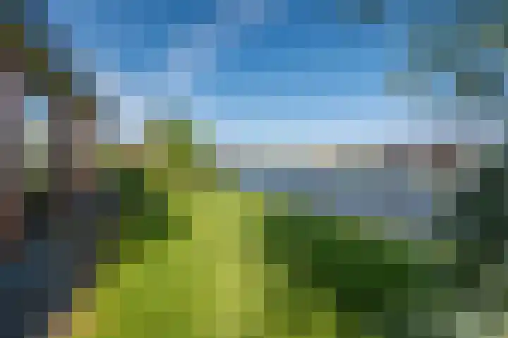 Kaafijzer 25 Blauwestad thumbnail 63