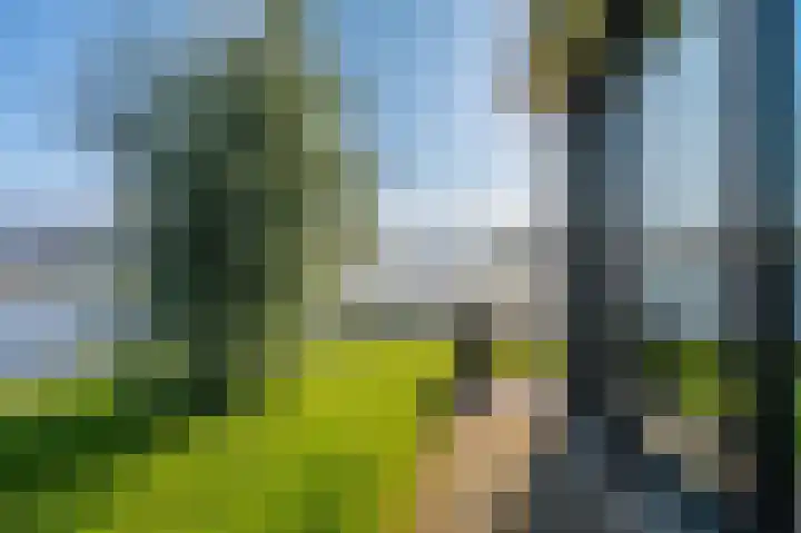 Kaafijzer 25 Blauwestad thumbnail 64