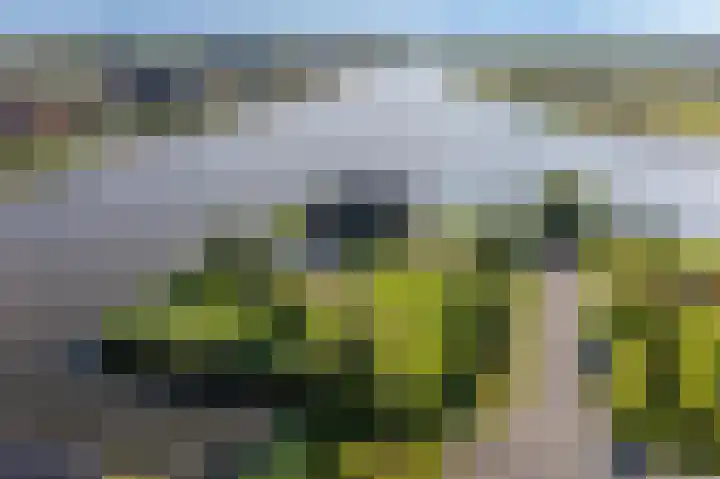 Kaafijzer 25 Blauwestad thumbnail 65