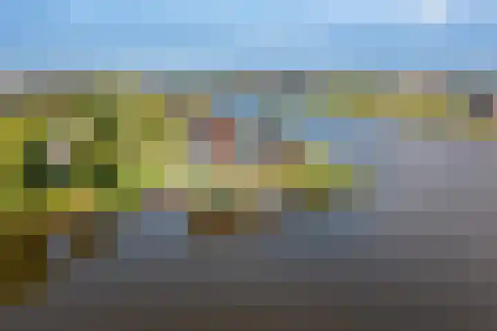 Kaafijzer 25 Blauwestad thumbnail 66