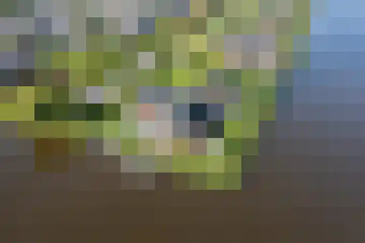 Kaafijzer 25 Blauwestad thumbnail 67