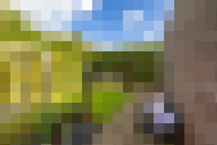 Kaag 13 Zuidhorn thumbnail 10
