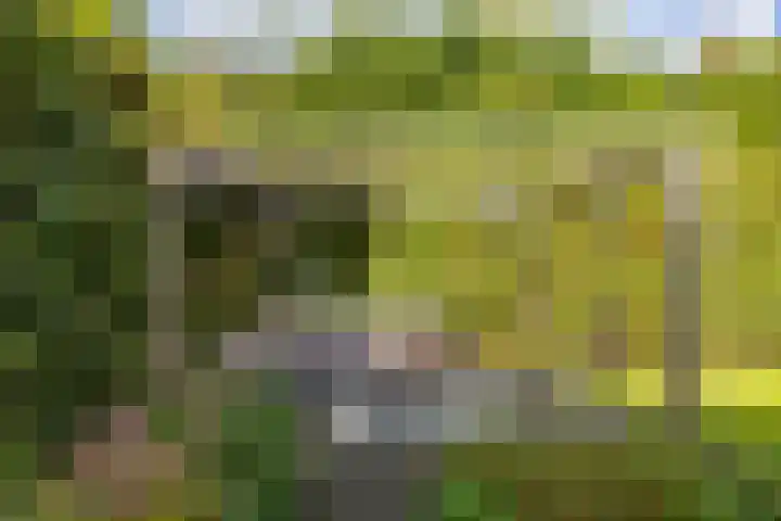Kaag 13 Zuidhorn thumbnail 11