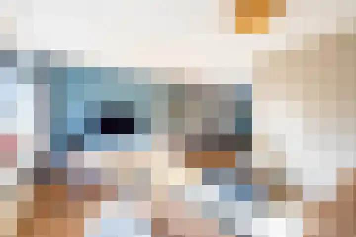 Kaag 13 Zuidhorn thumbnail 17
