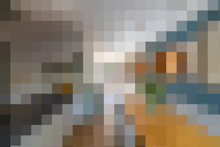 Kaag 13 Zuidhorn thumbnail 24