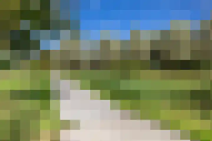 Kaag 13 Zuidhorn thumbnail 47