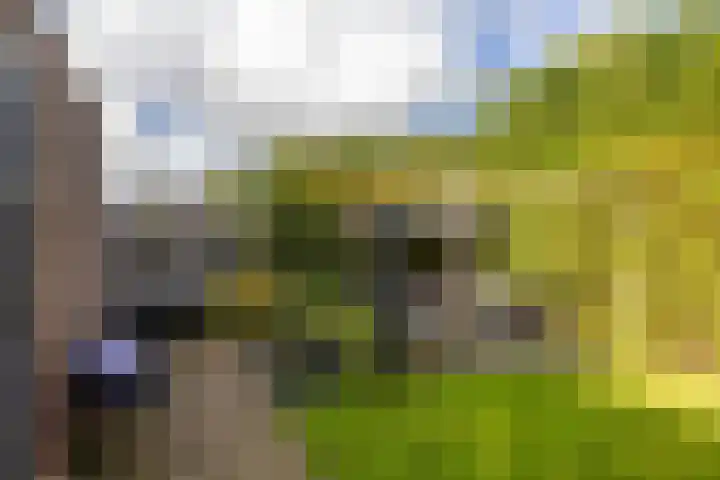 Kaag 13 Zuidhorn thumbnail 7