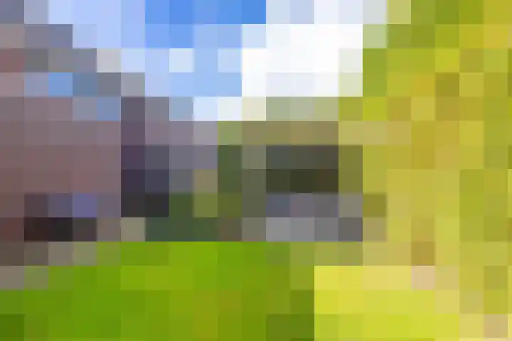 Kaag 13 Zuidhorn thumbnail 8