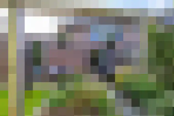 Kaag 13 Zuidhorn thumbnail 9