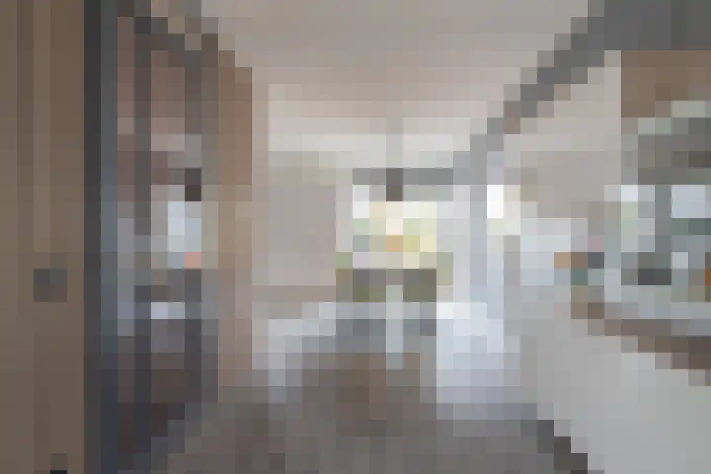 Kaag 4 Zuidhorn thumbnail 13