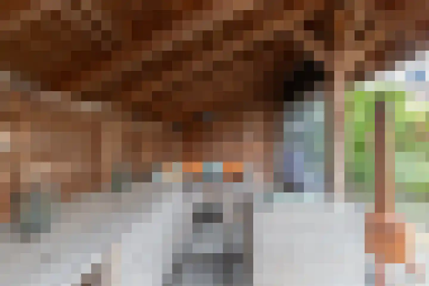 Kaag 4 Zuidhorn thumbnail 23