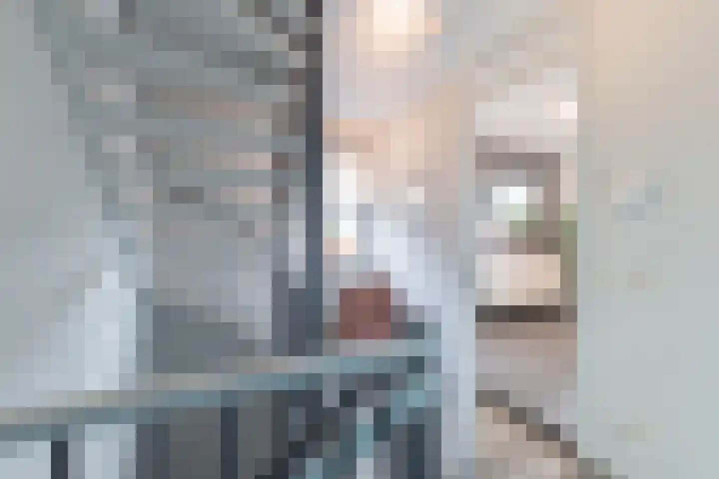 Kaag 4 Zuidhorn thumbnail 31