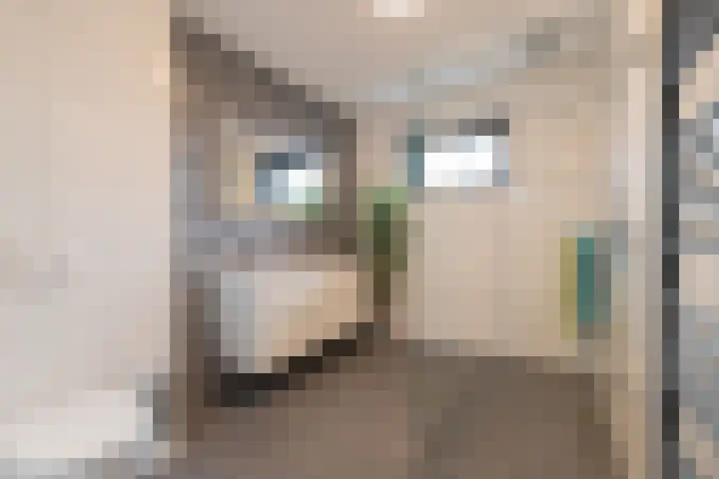 Kaag 4 Zuidhorn thumbnail 32