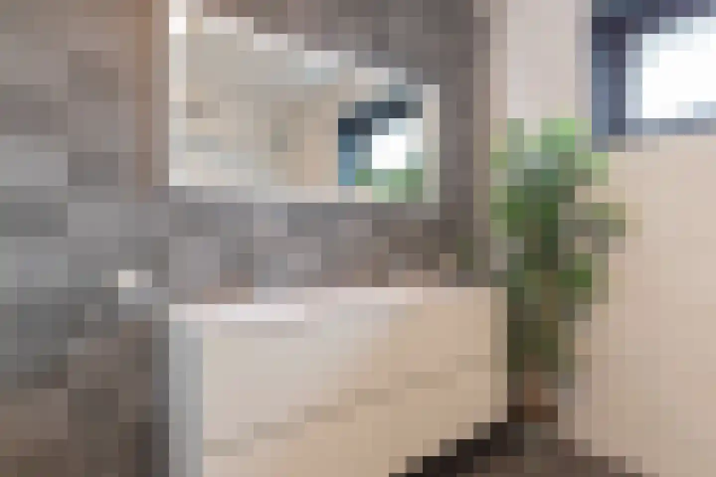 Kaag 4 Zuidhorn thumbnail 33