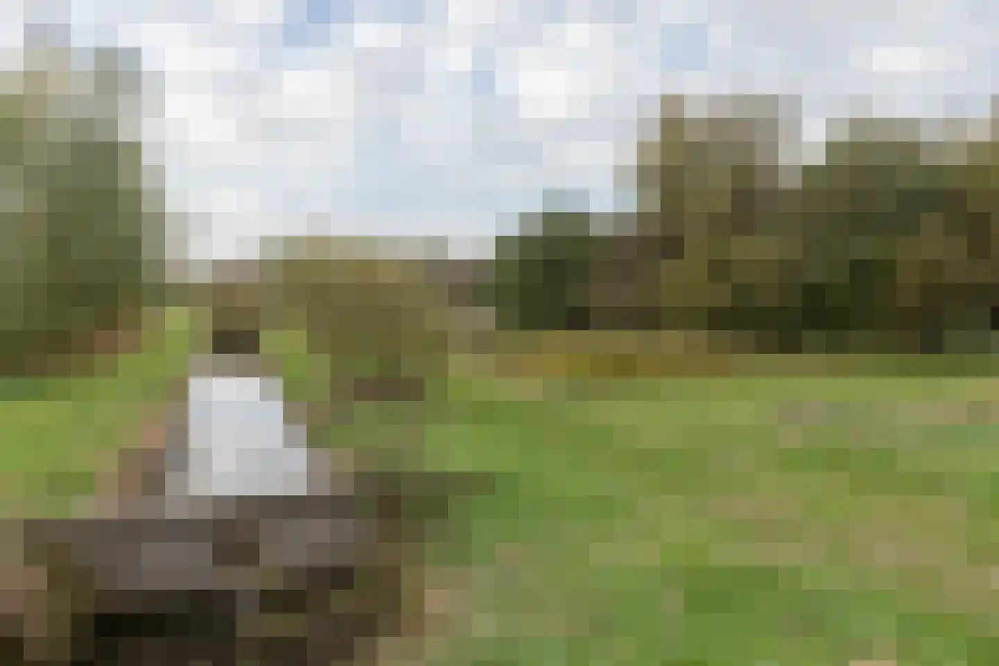 Kaag 4 Zuidhorn thumbnail 5