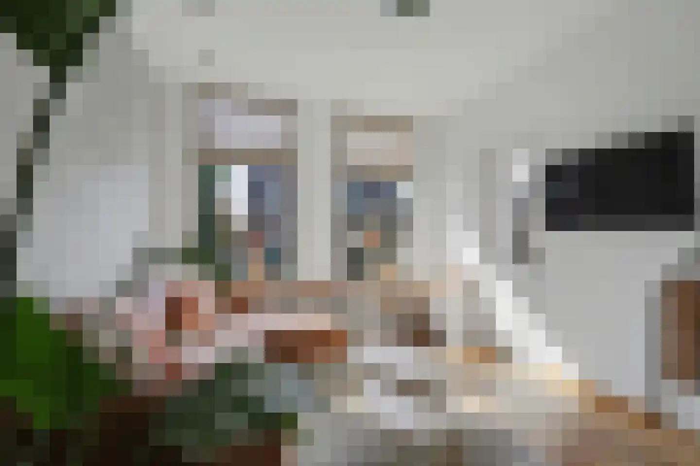 Kaagjesland 16 Reeuwijk thumbnail 11