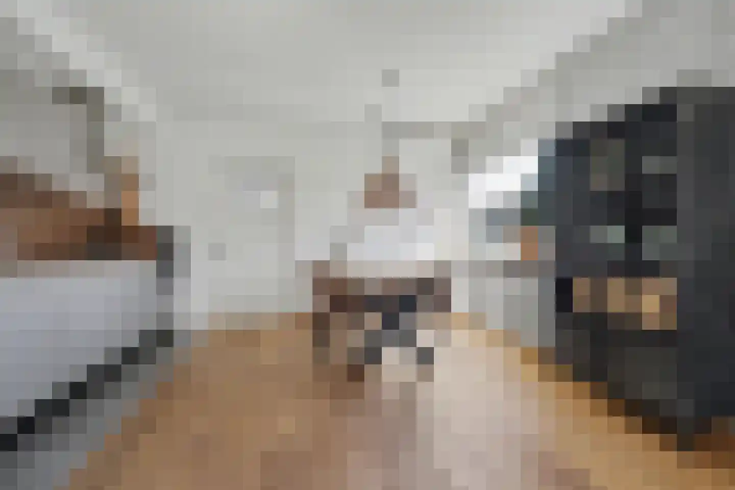 Kaagjesland 16 Reeuwijk thumbnail 13