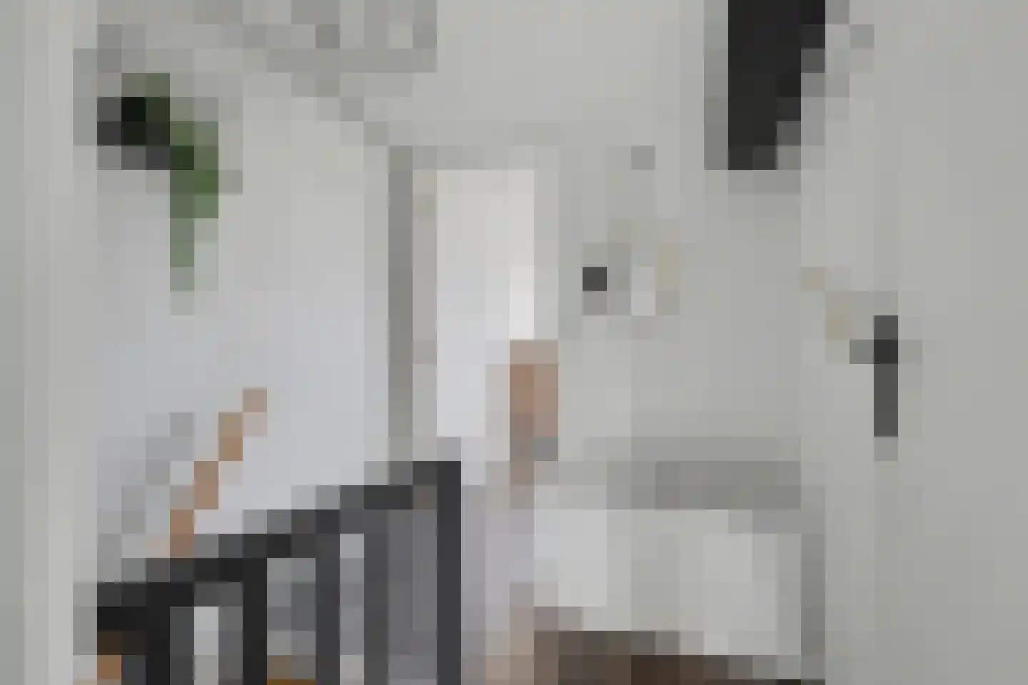 Kaagjesland 16 Reeuwijk thumbnail 23