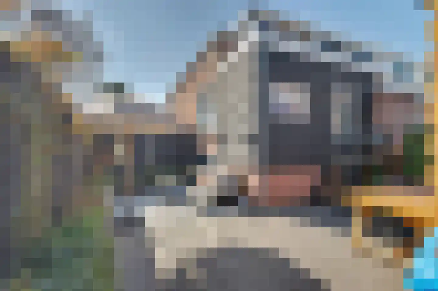 Kaagjesland 16 Reeuwijk thumbnail 28