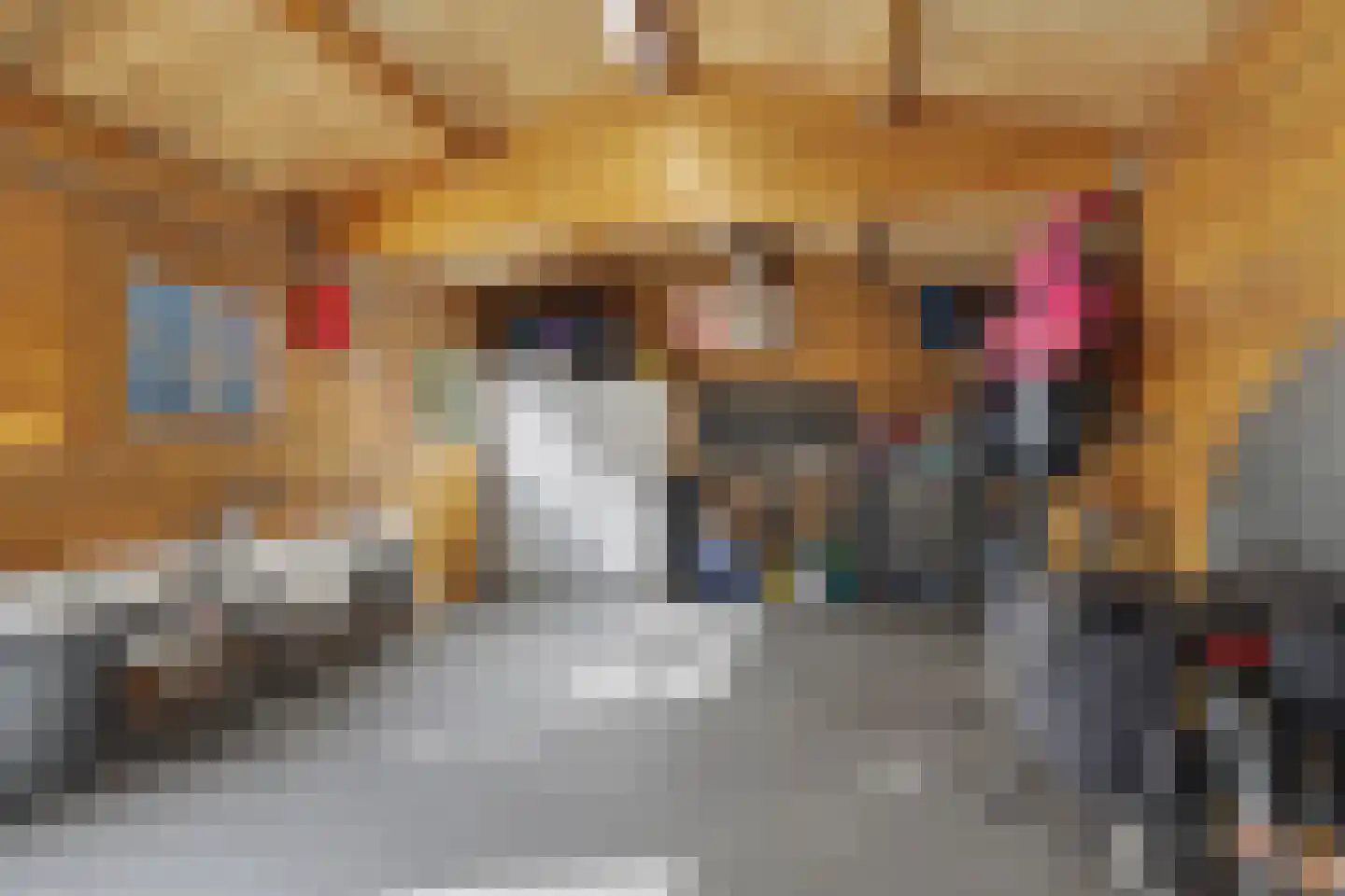 Kaagjesland 16 Reeuwijk thumbnail 32