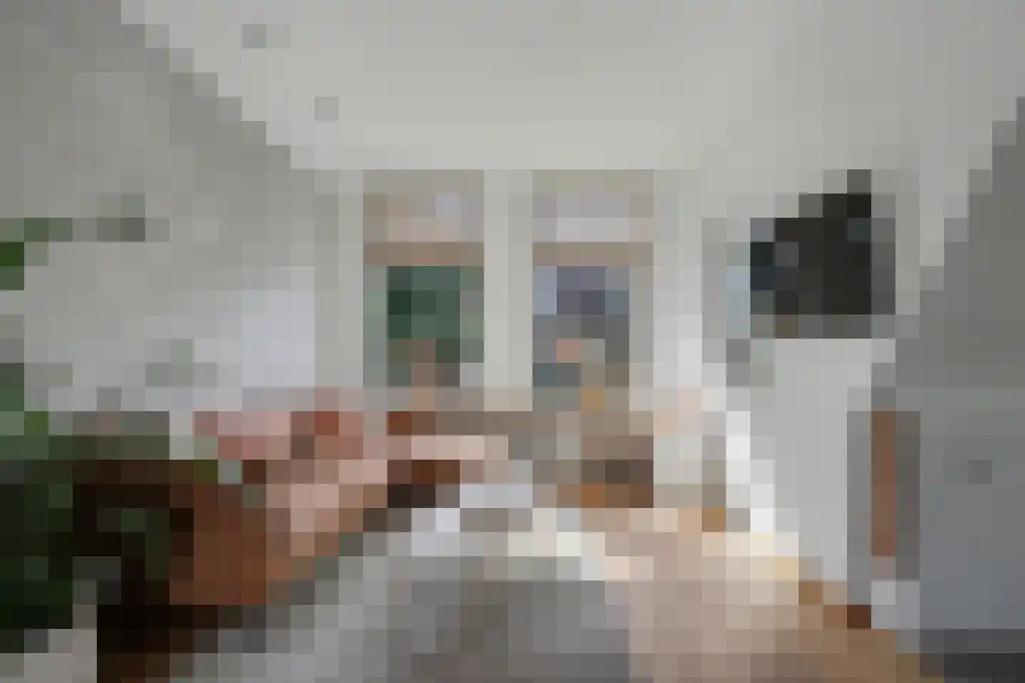 Kaagjesland 16 Reeuwijk thumbnail 4