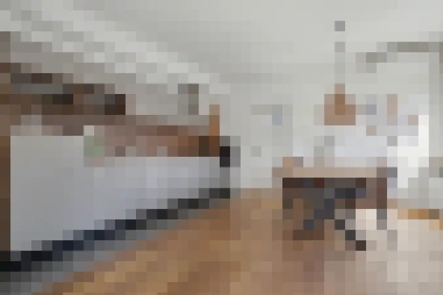 Kaagjesland 16 Reeuwijk thumbnail 5