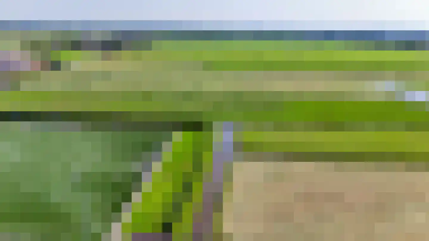 Kaagjesland 33 Reeuwijk thumbnail 27