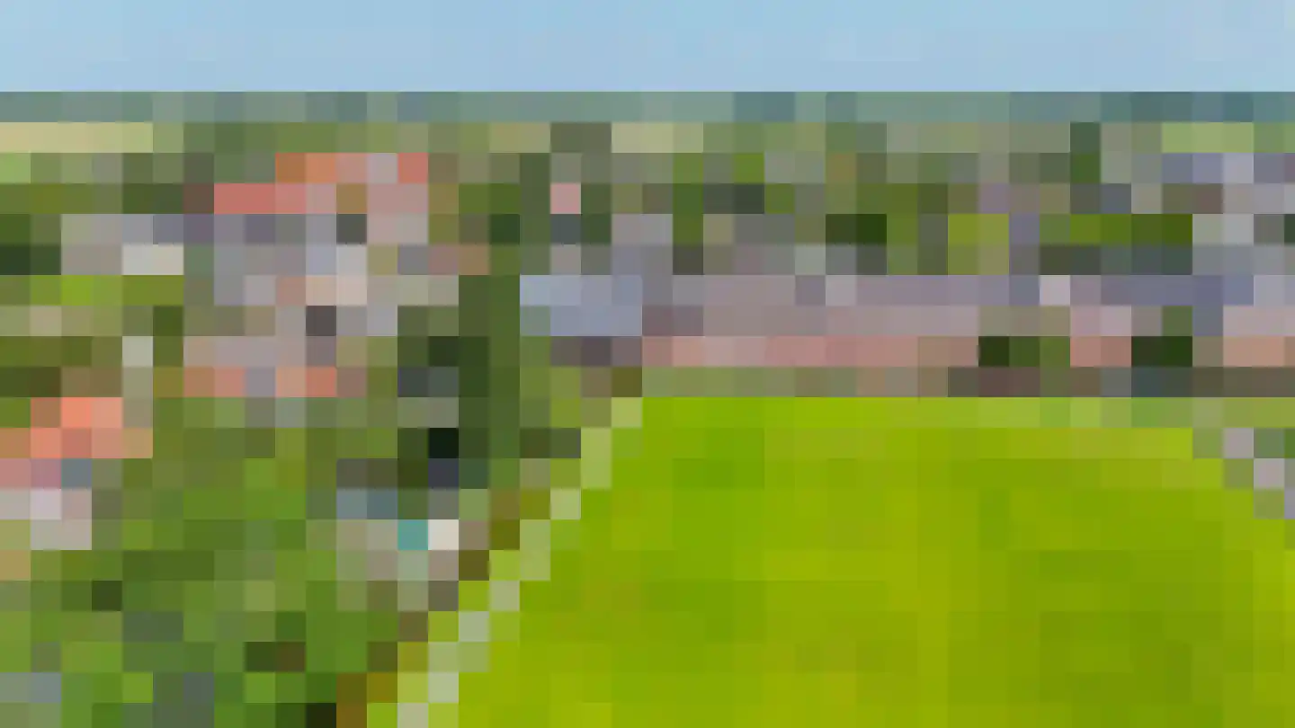 Kaagjesland 33 Reeuwijk thumbnail 33
