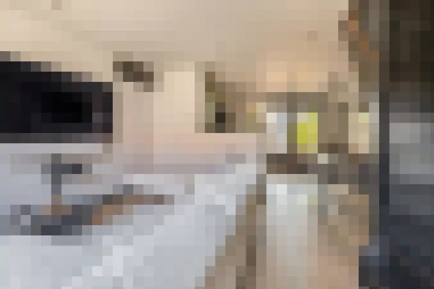 Kaagjesland 33 Reeuwijk thumbnail 7