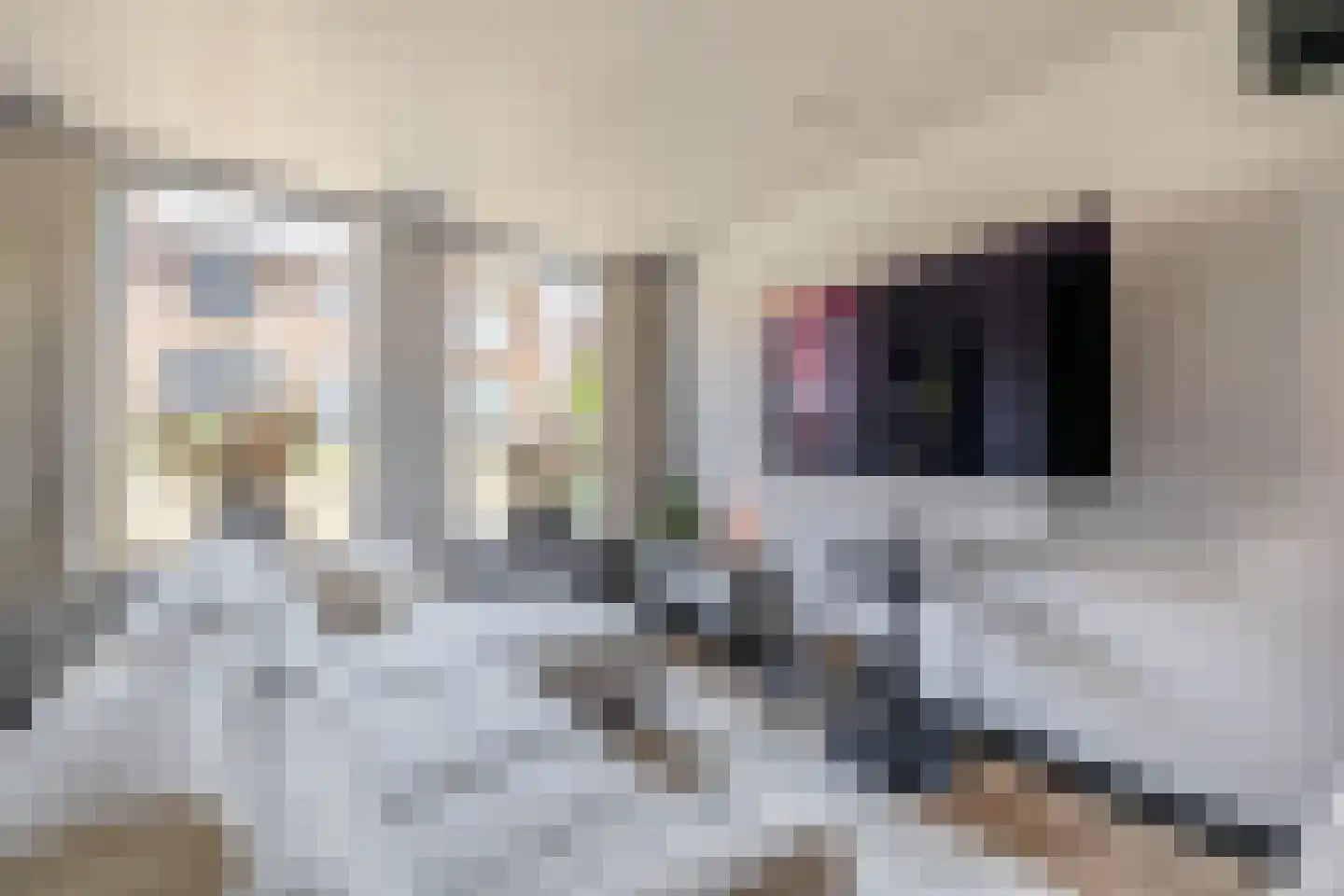 Kaagjesland 33 Reeuwijk thumbnail 8